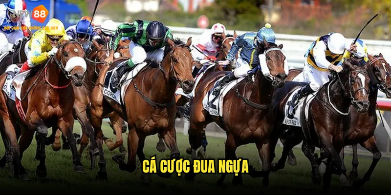 Cá cược đua ngựa New88 có những hình thức nào phổ biến? 5 cá cược đua ngựa