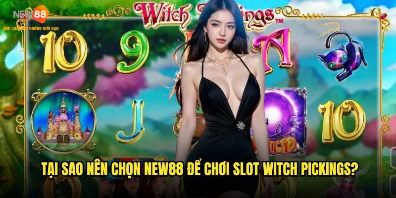 Slot Witch Pickings New88 có đáng để đầu tư thời gian không? 3 Tại sao nên chọn New88 để chơi Slot Witch Pickings?