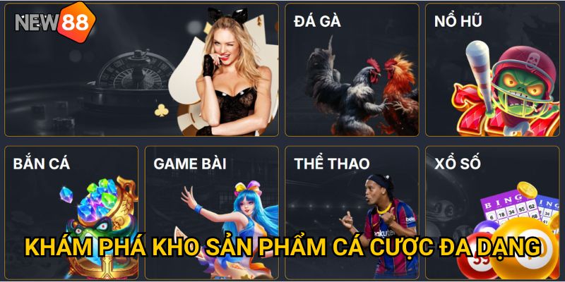 Trang chủ 22 Khám phá kho sản phẩm cá cược đa dạng